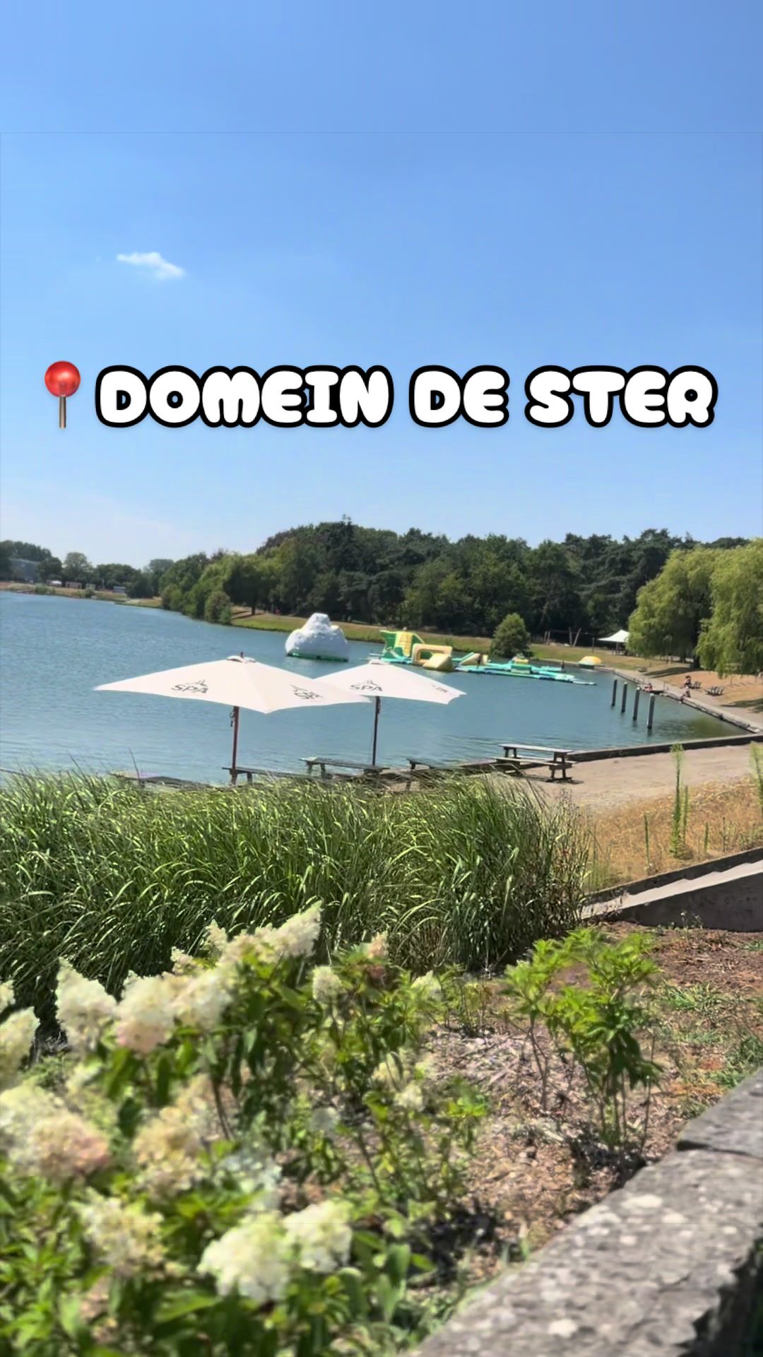 @BONNES ADRESSES BXL