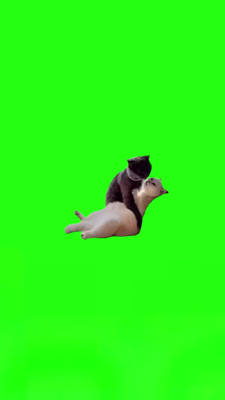 @Plantilla verde (memes)