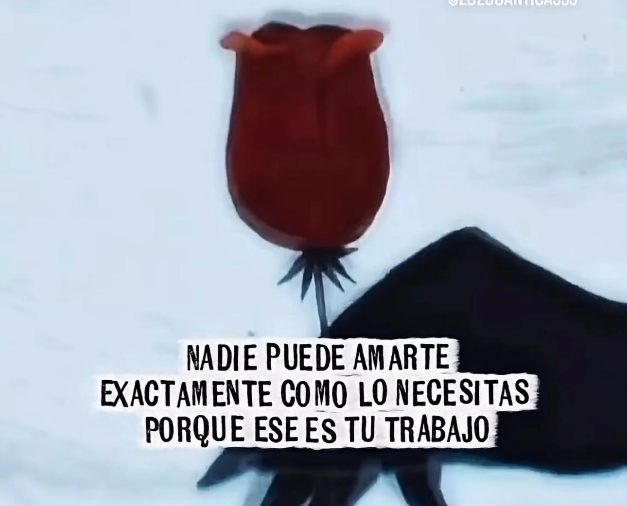 @Moka Morales