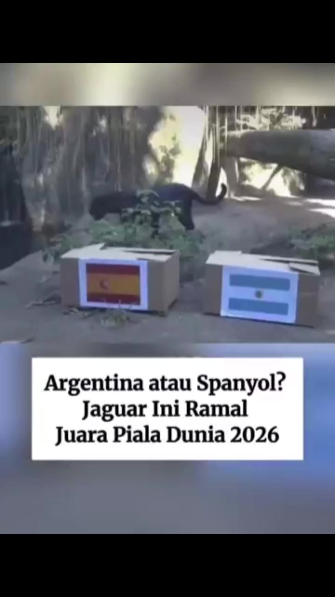 @afanza