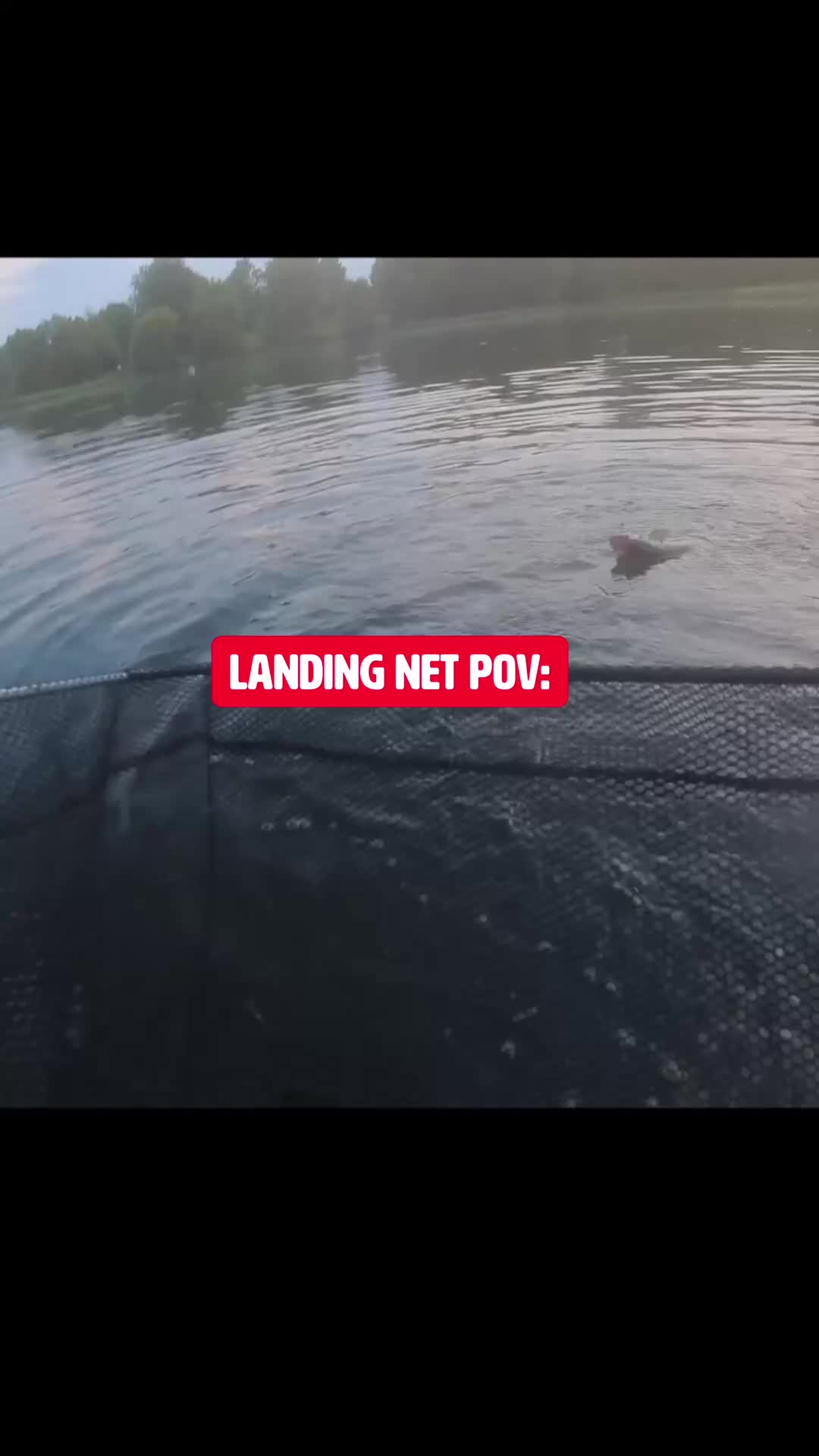 @fishingshaun