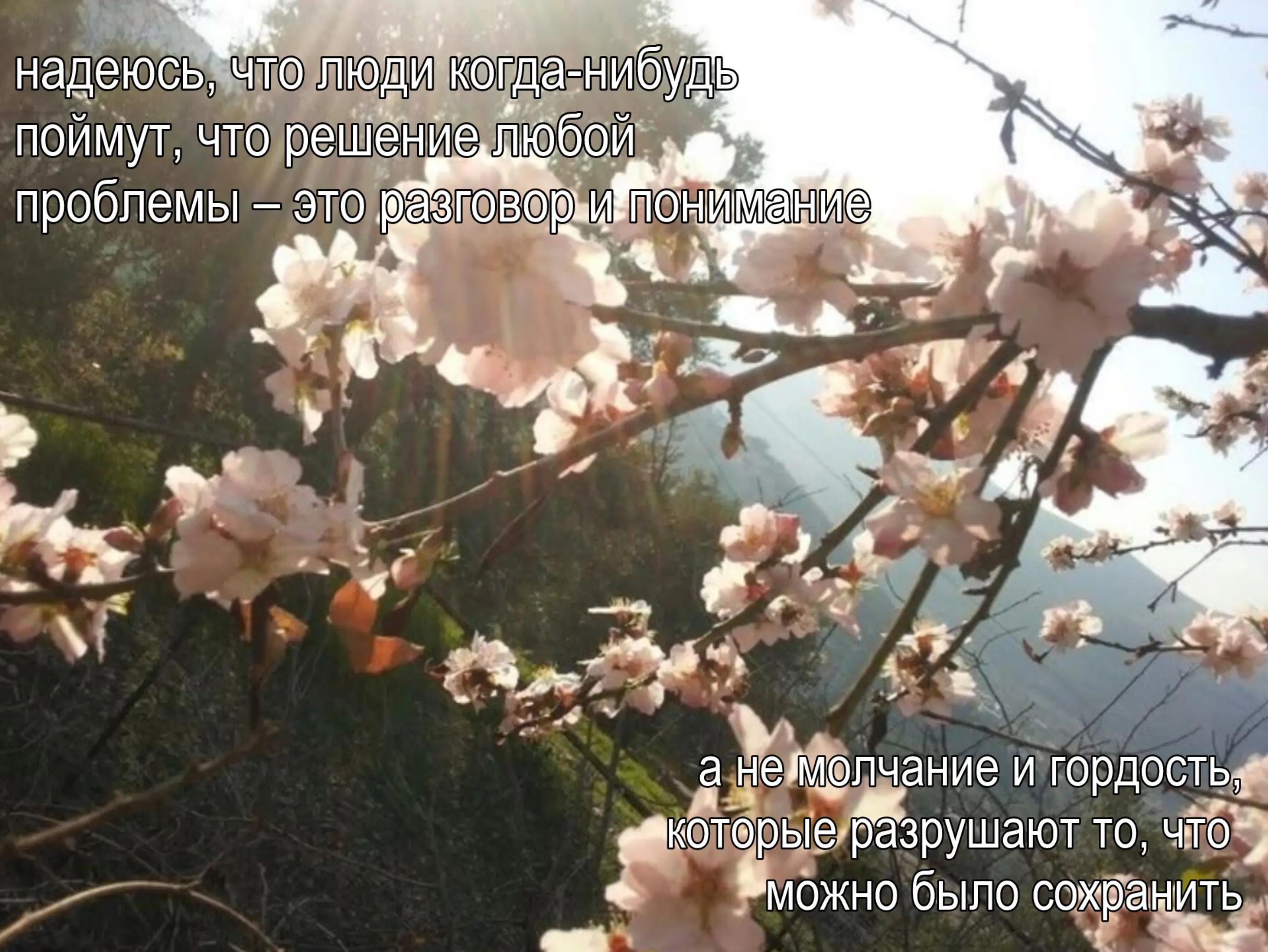 @𝒔𝒐𝒗𝒙𝒉𝒏𝒂𝒂𝒙