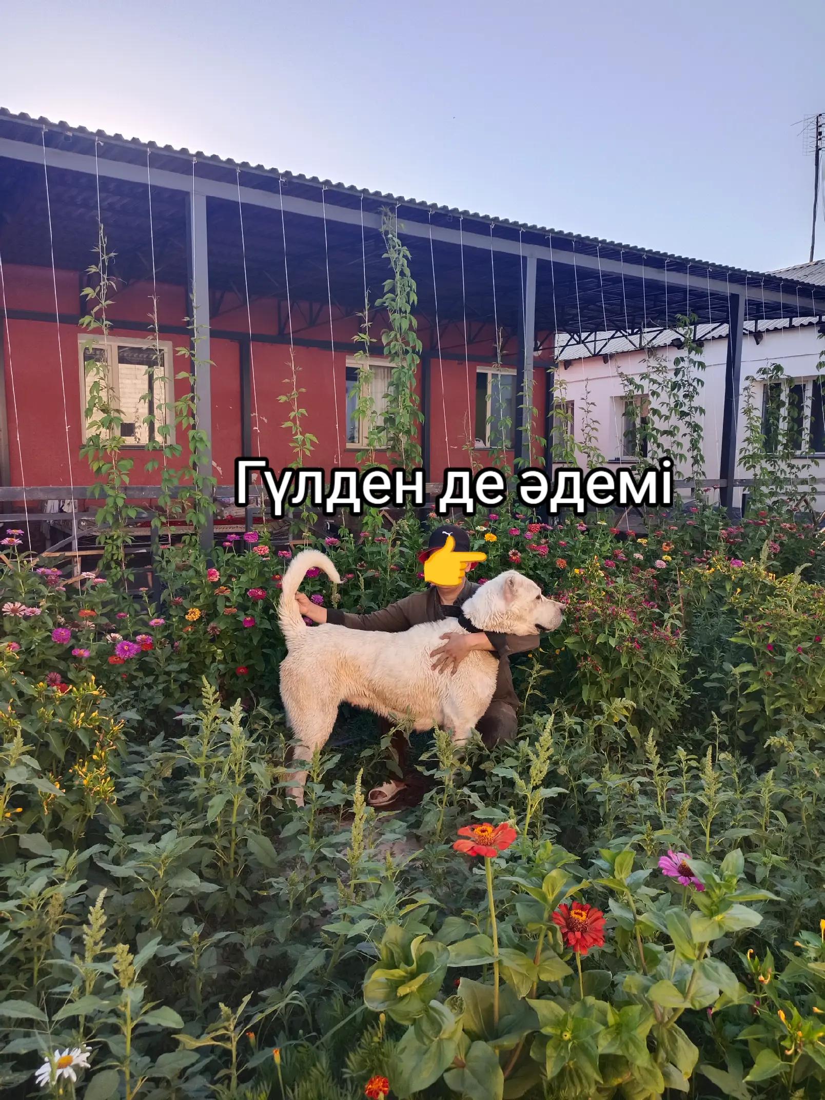 @🇰🇿✊𝔸𝕗𝕚𝕟𝕒 ✊🇰🇿