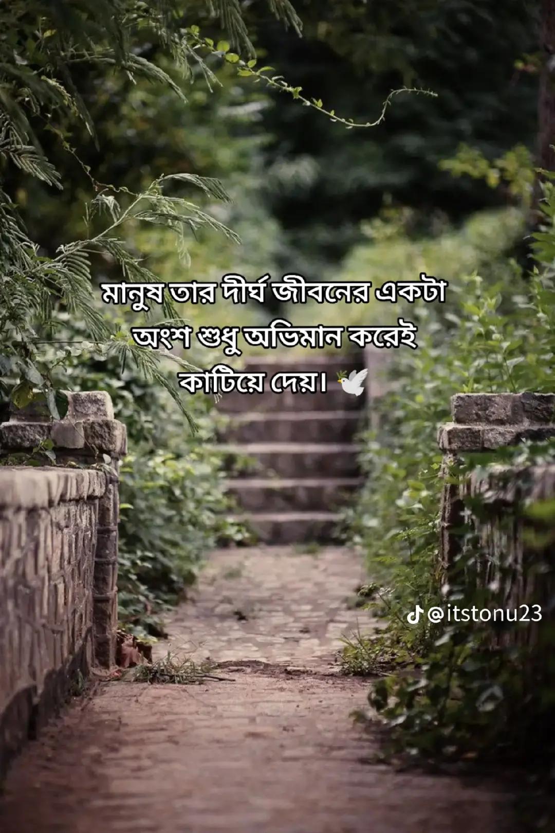 @🧚পারু🧚