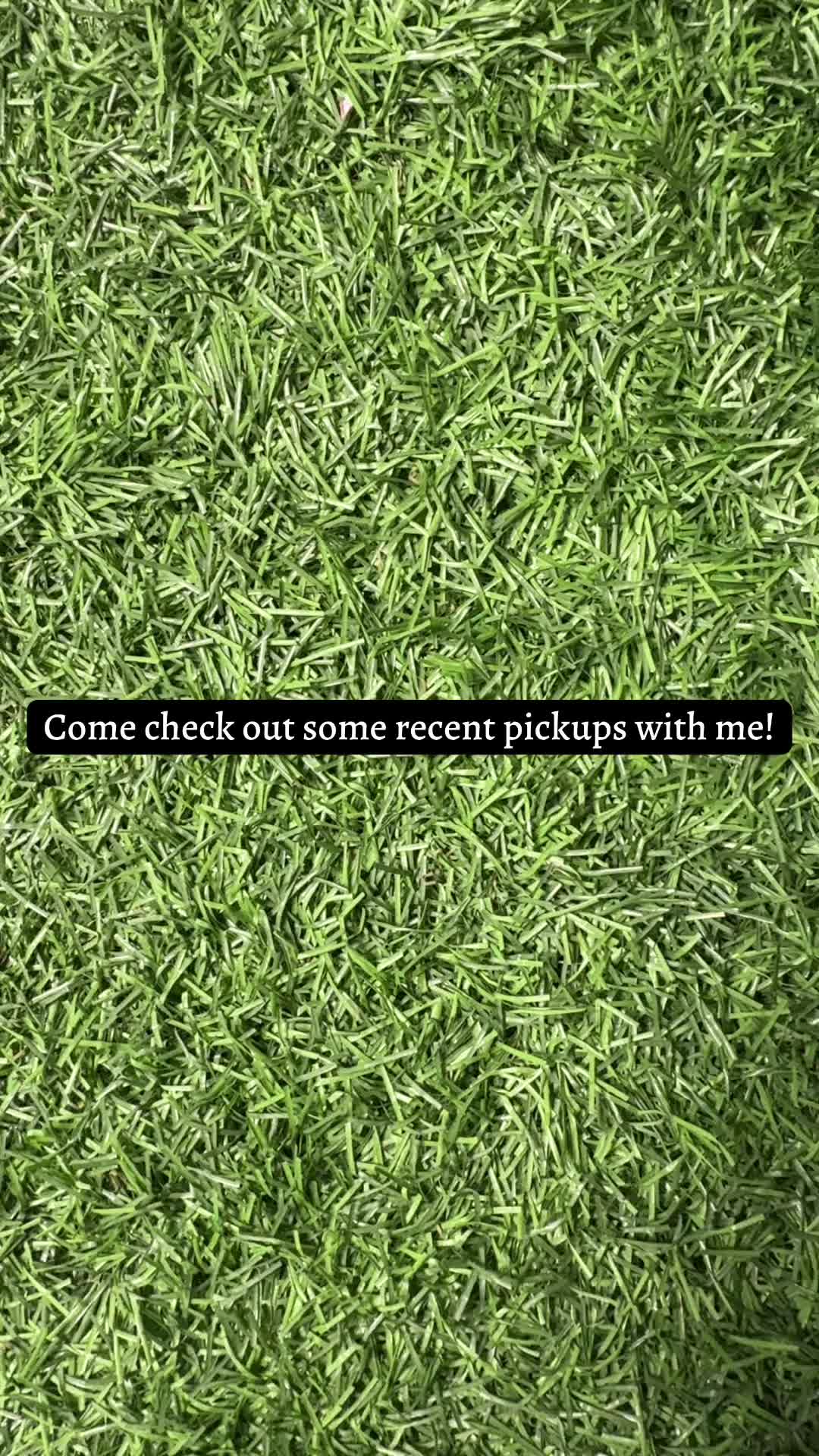 @queencityripz
