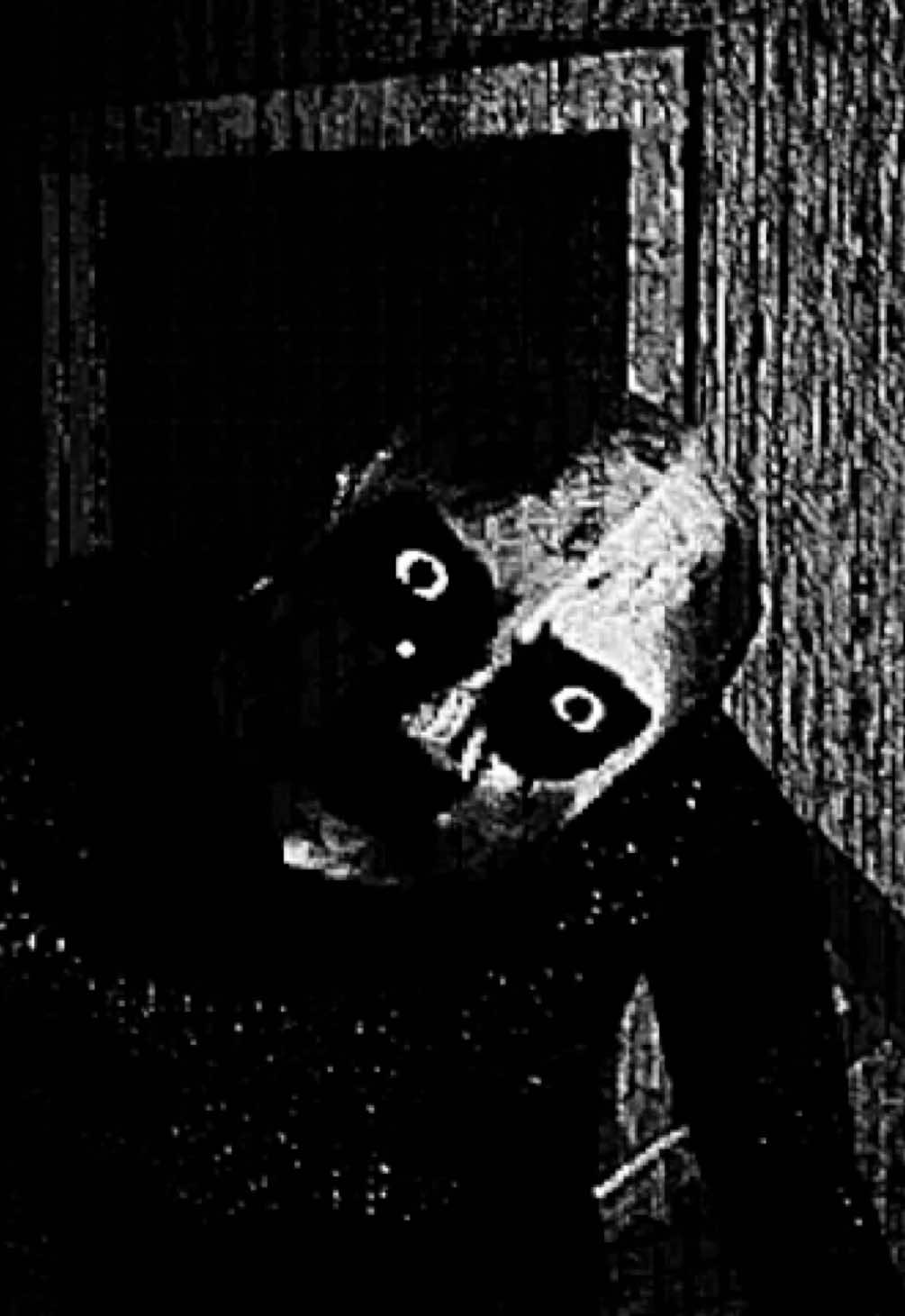 @𝑺𝒍𝒂𝒓𝒖𝑺