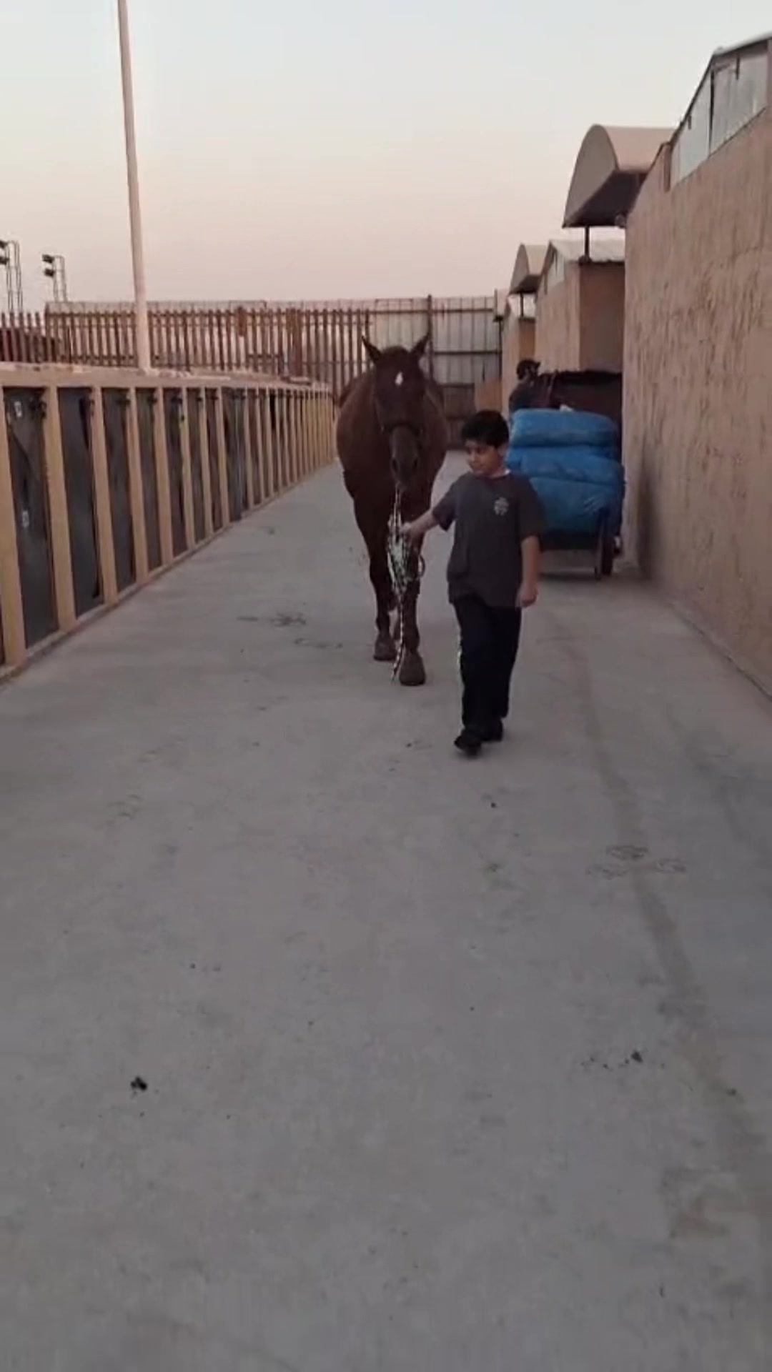 @Al Bosta Equestrian
