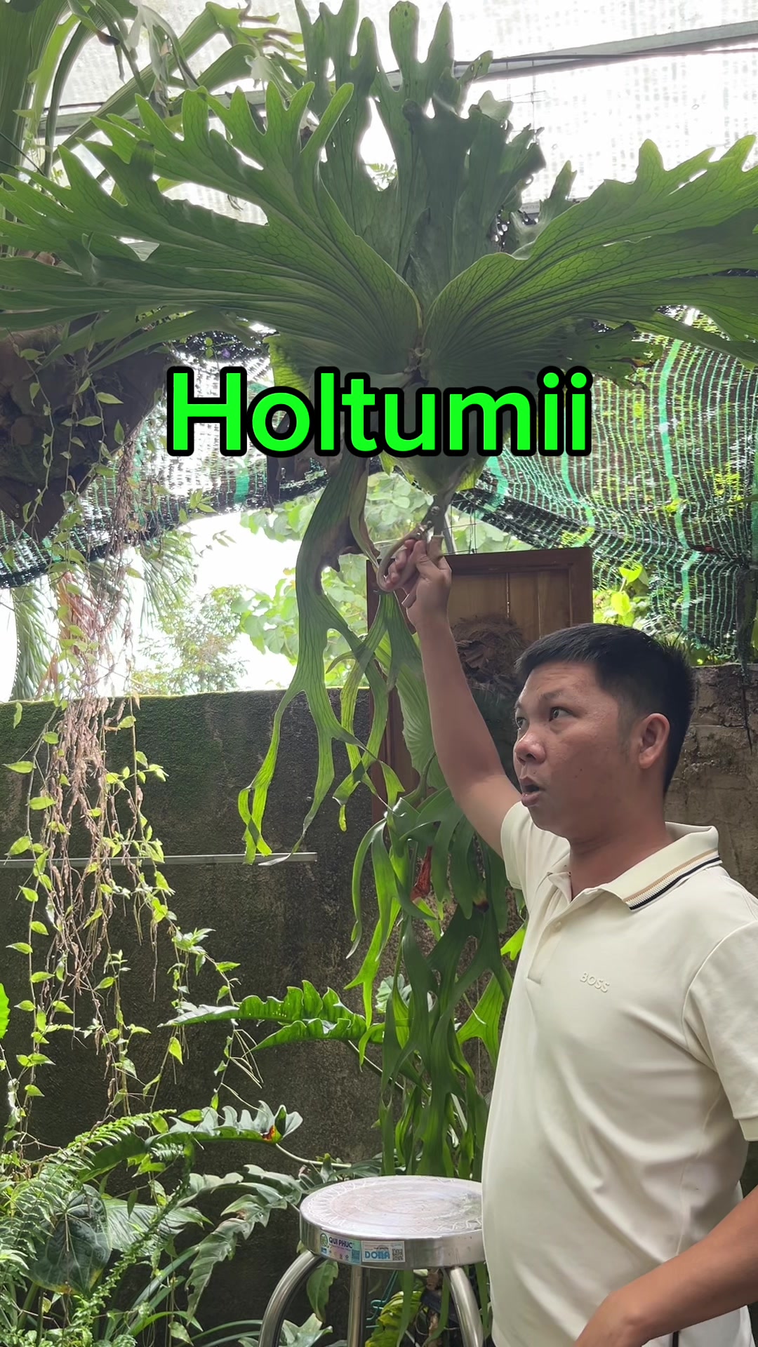 @Huy Kiểng Lá