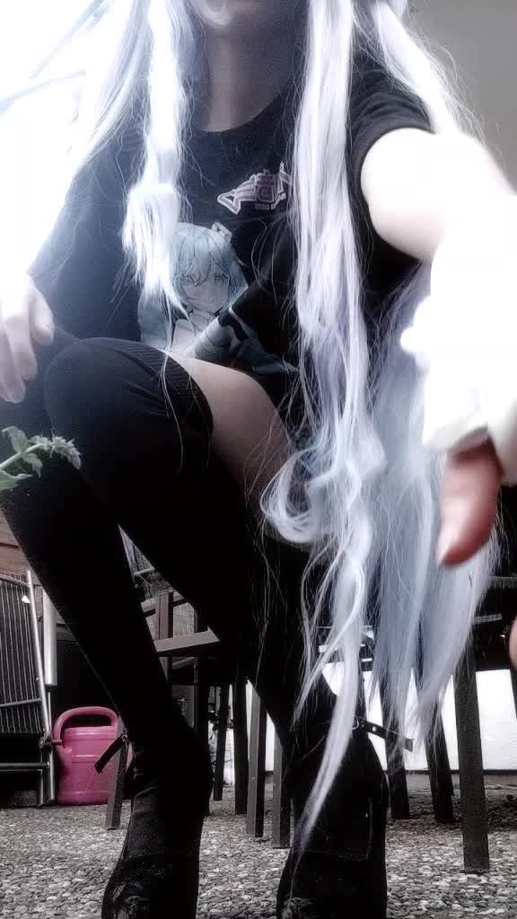 @♂️🏳️&zwj;🌈🐺
