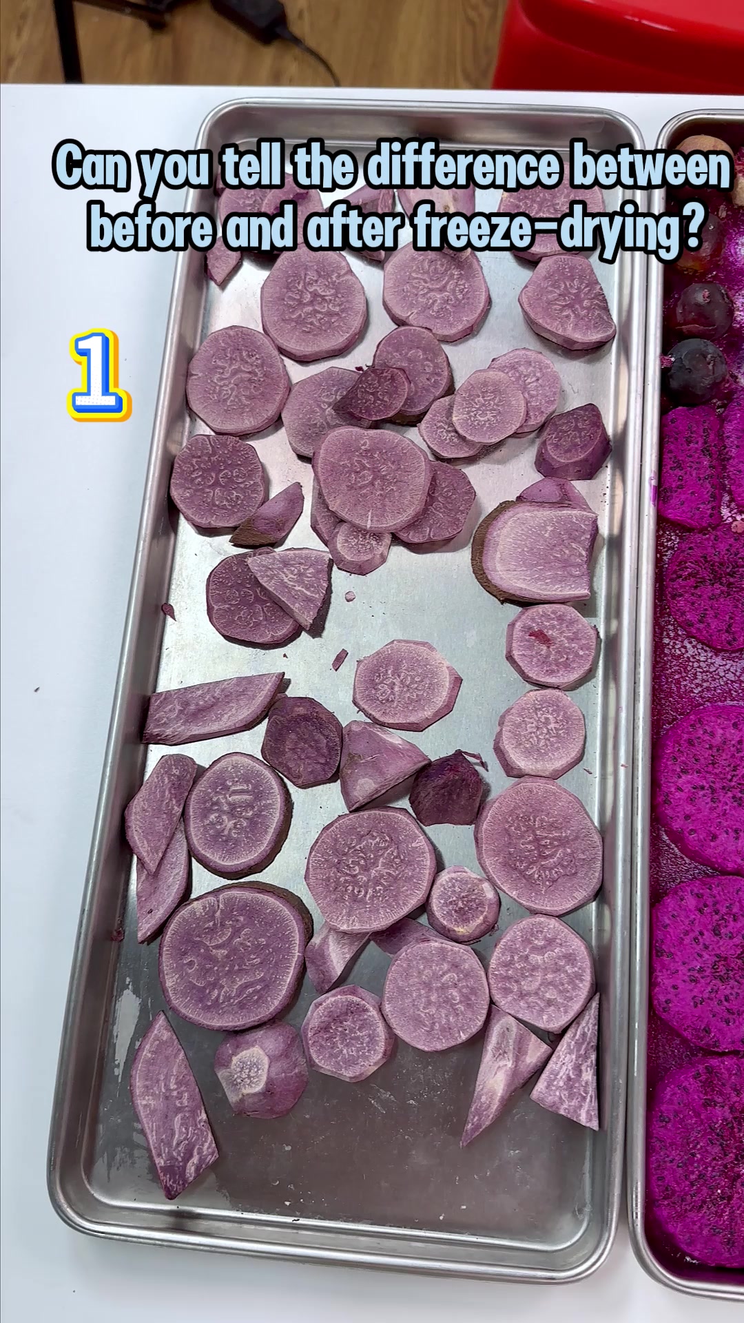 @Dalle freeze dryer