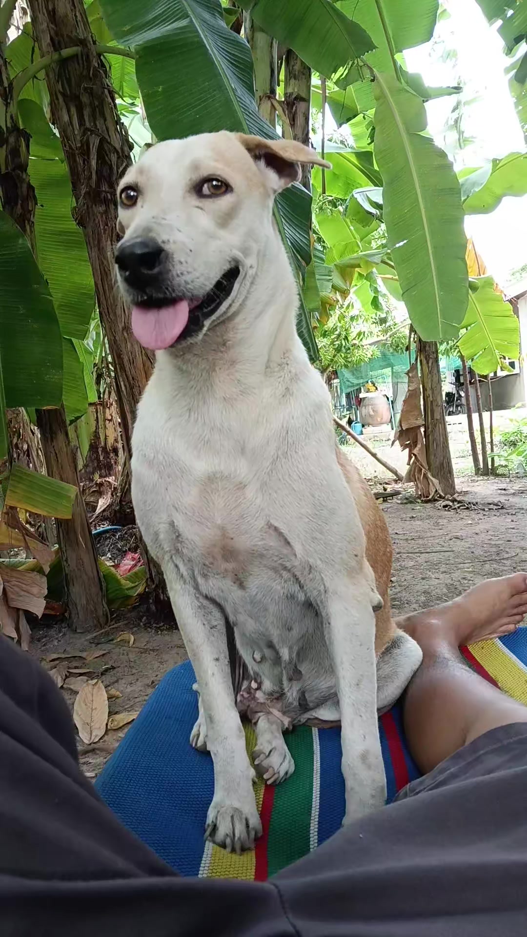 @เมษาราศีเมษ