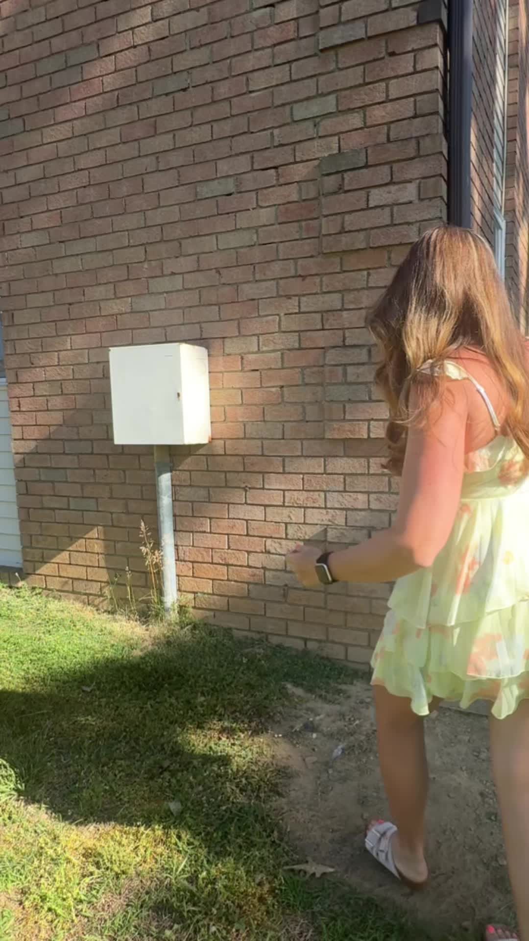 @Meg 🐝