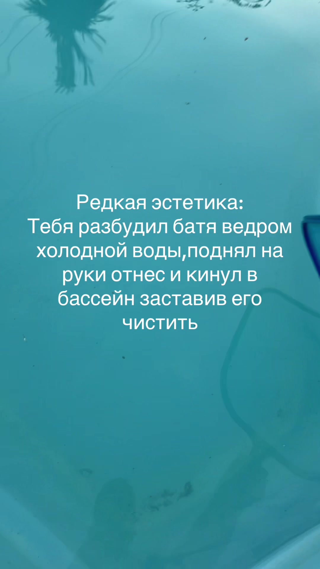@Мишаня Траков