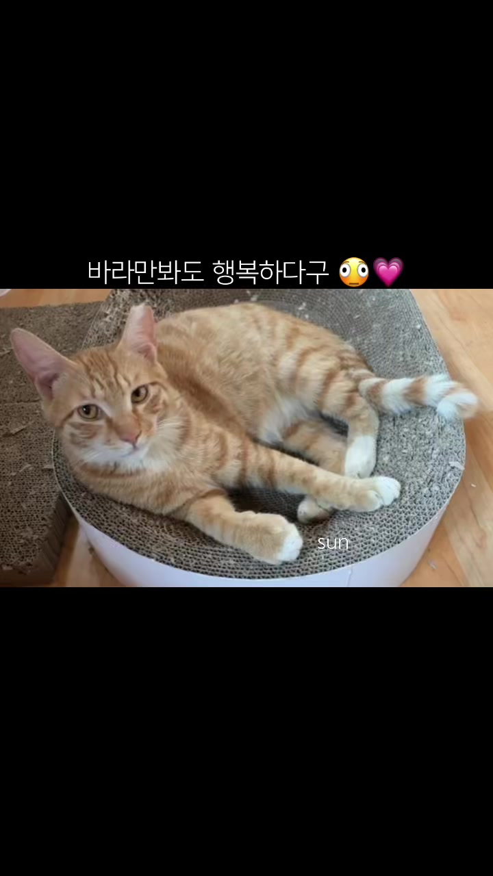 @sun_glitter