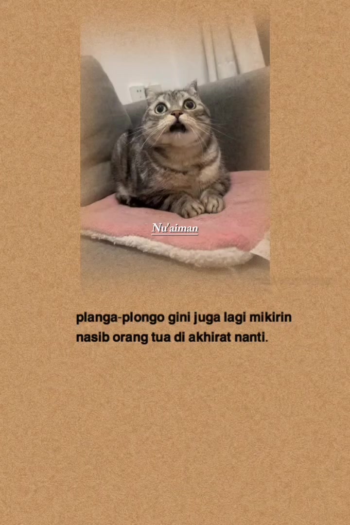 @Nu'Aiman