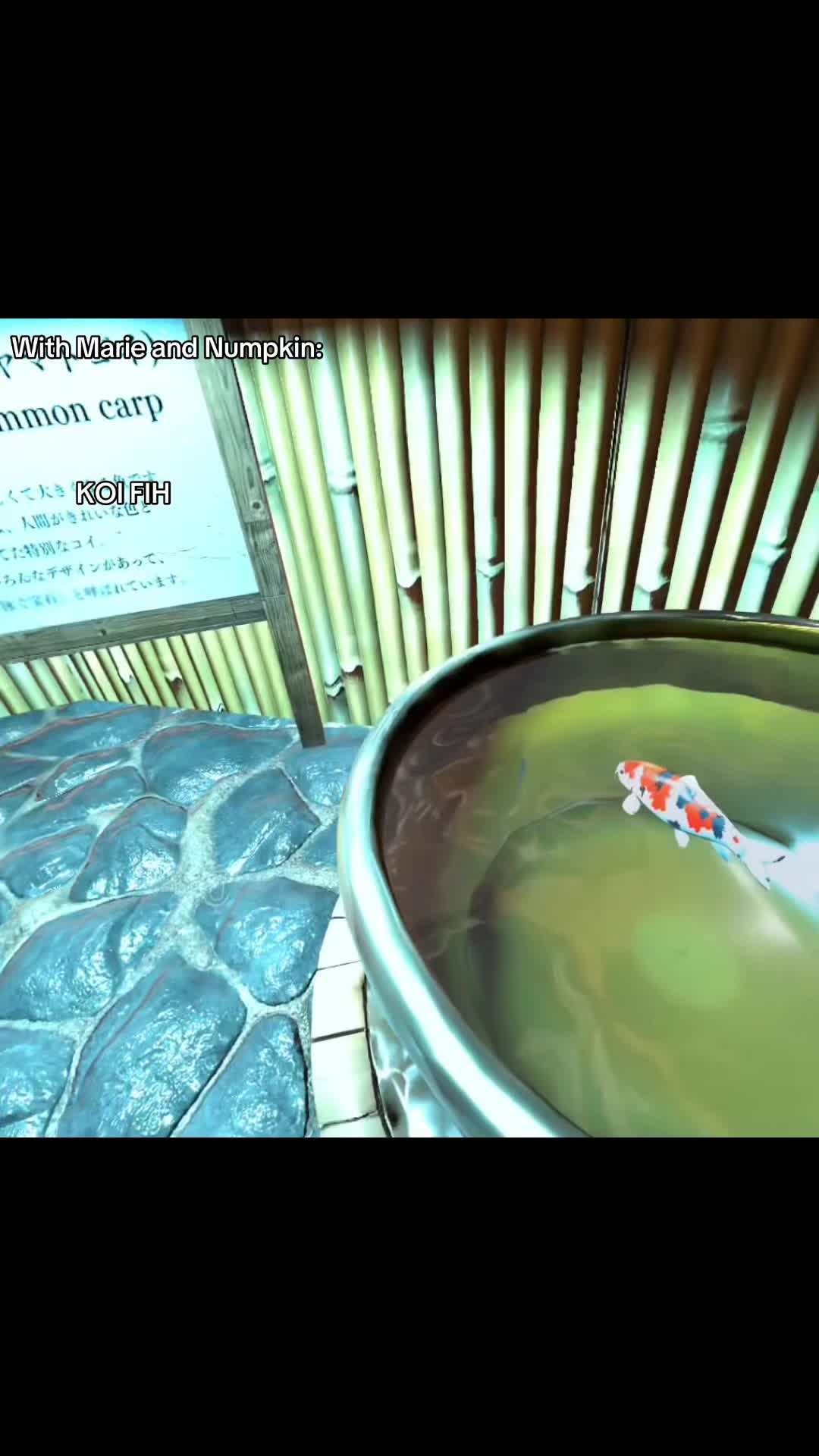 @⊰【⦇ᥣᥡᥒᥒᥲ⦈】⊱【🍰🌅】