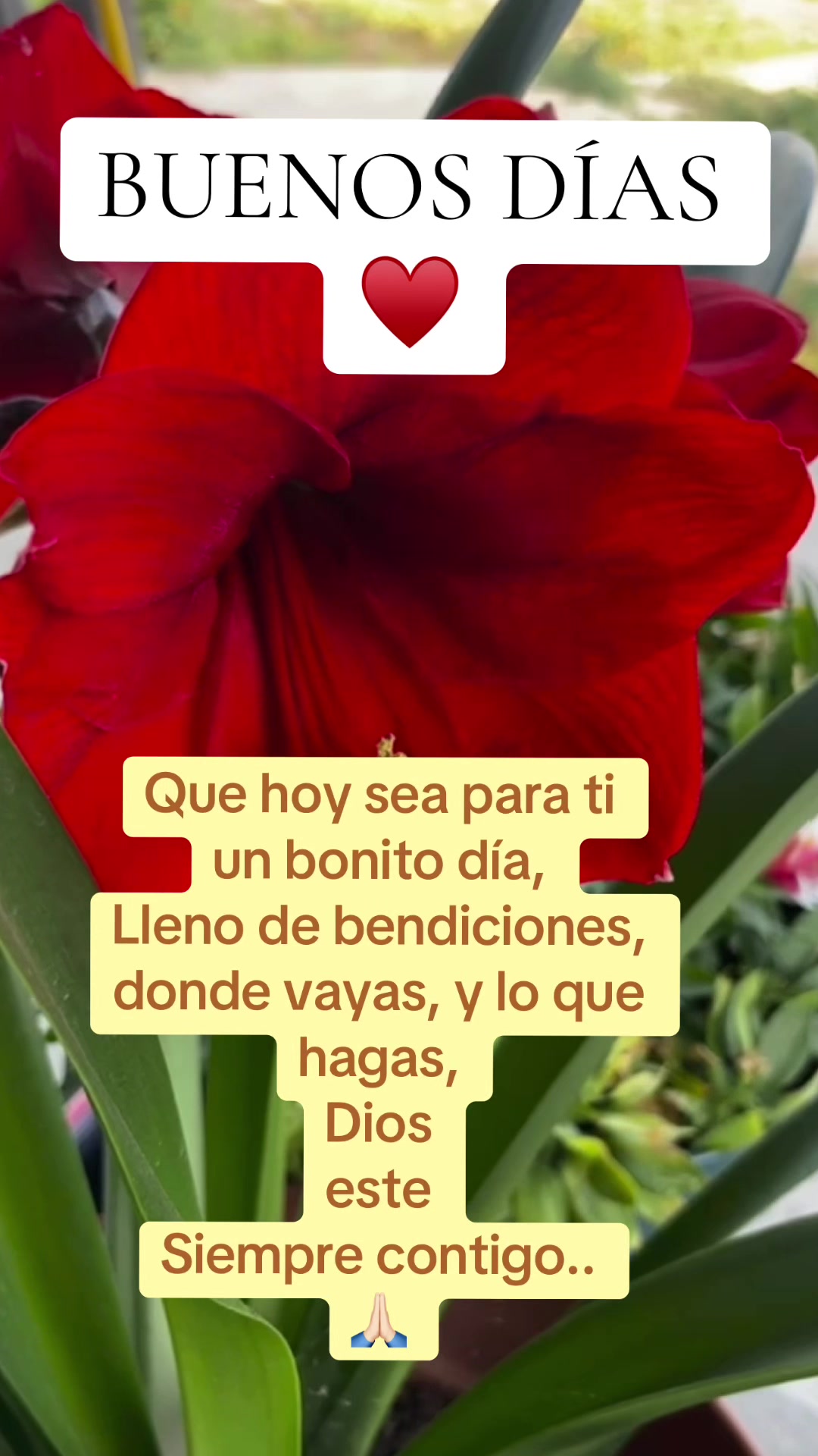 @Lucy🍒