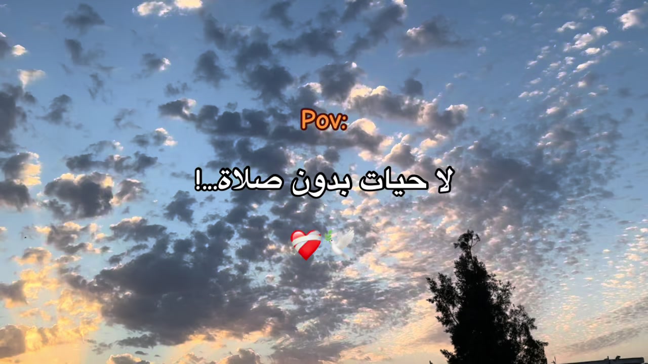 @𝓓𝓲𝓫🐺.