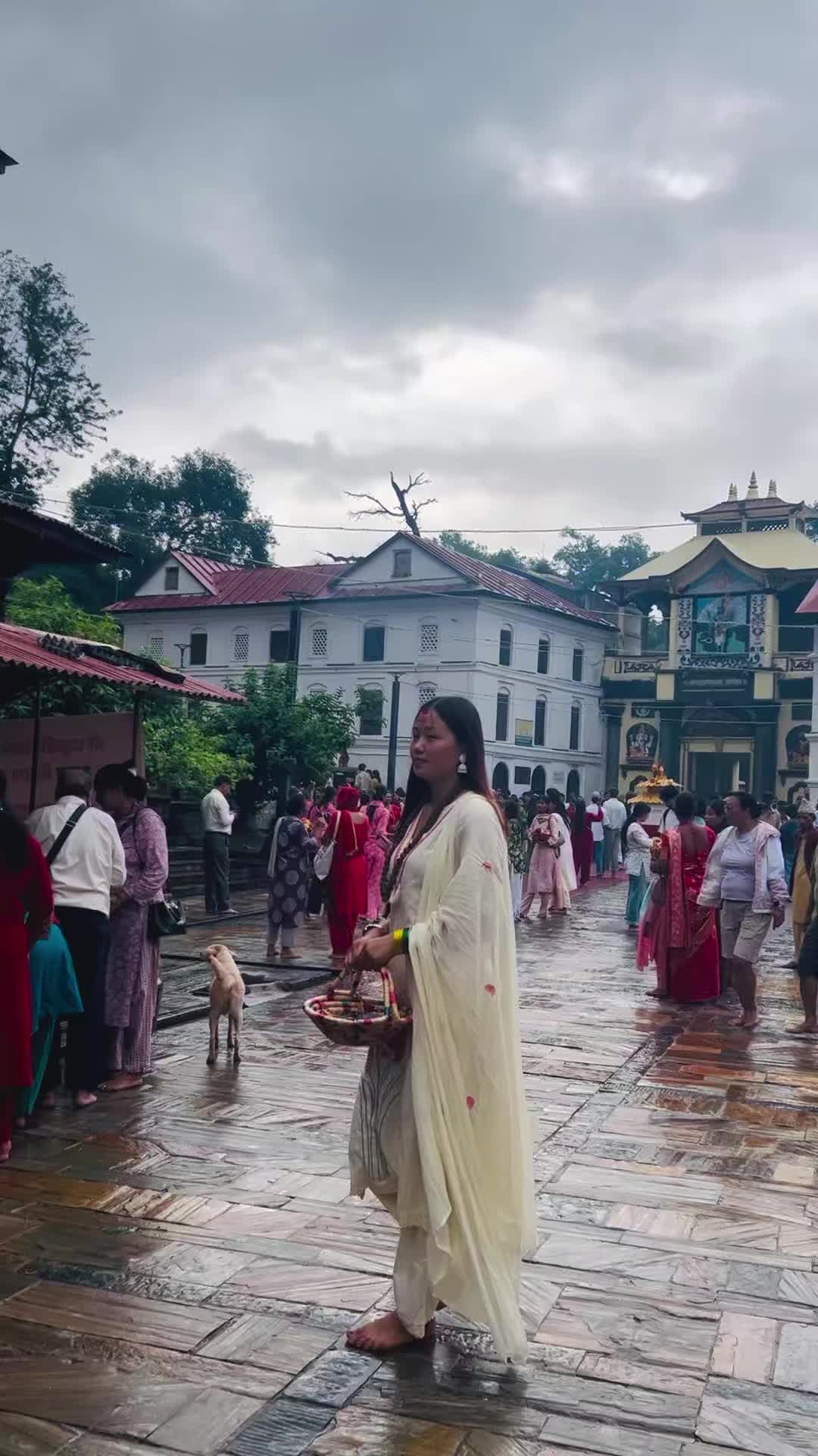 @T&uacute; L&aelig;s&atilde;💔🕊️