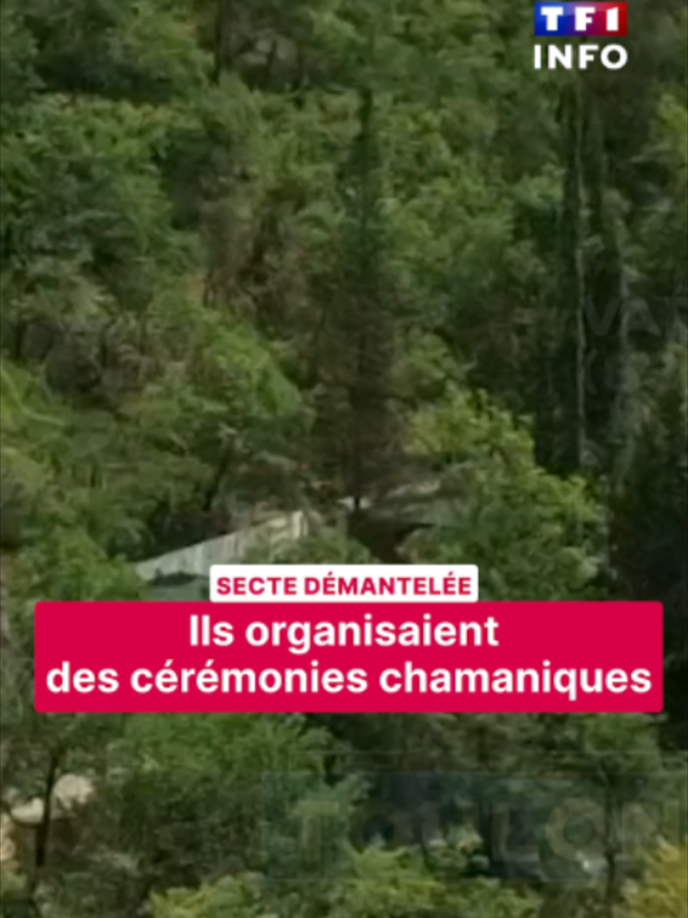 @TF1 INFO