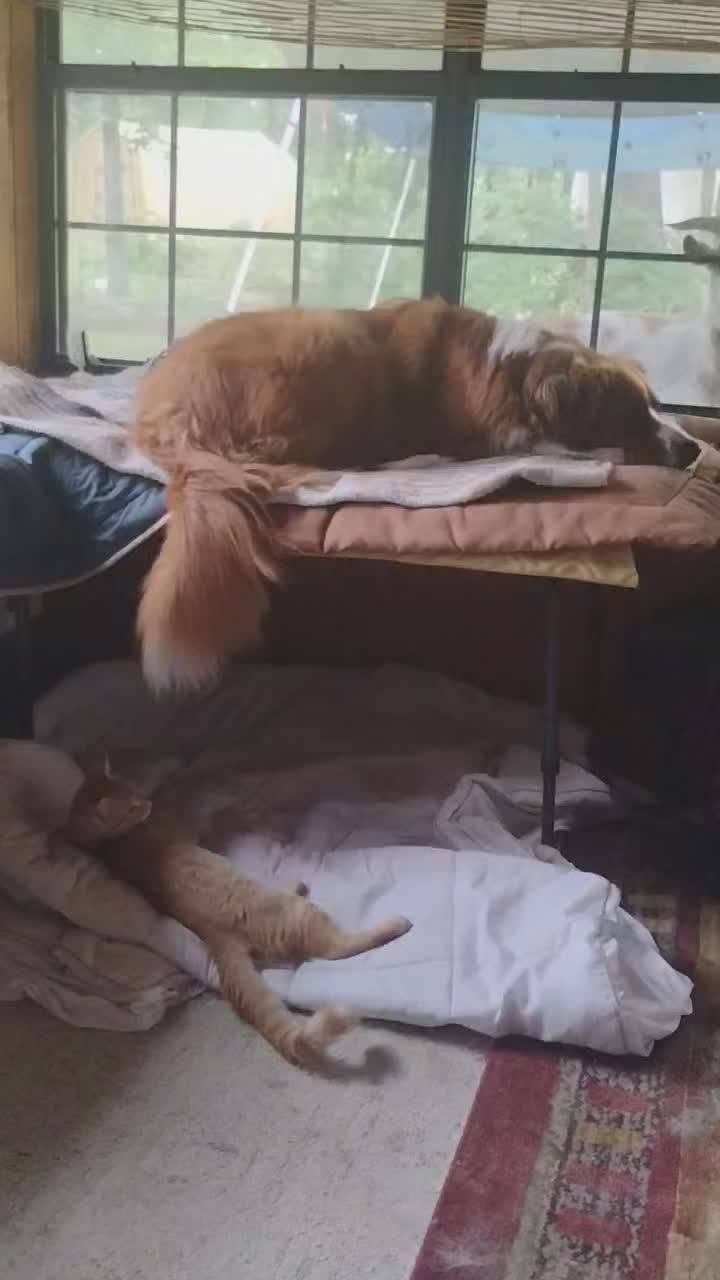 @jessi.bella.and.sugar