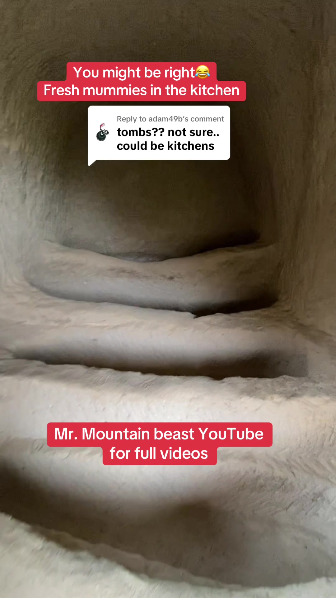 @Mr.mountainbeast