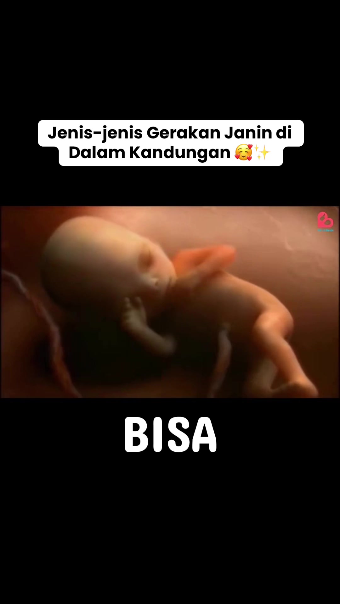 @Dunia Bunda