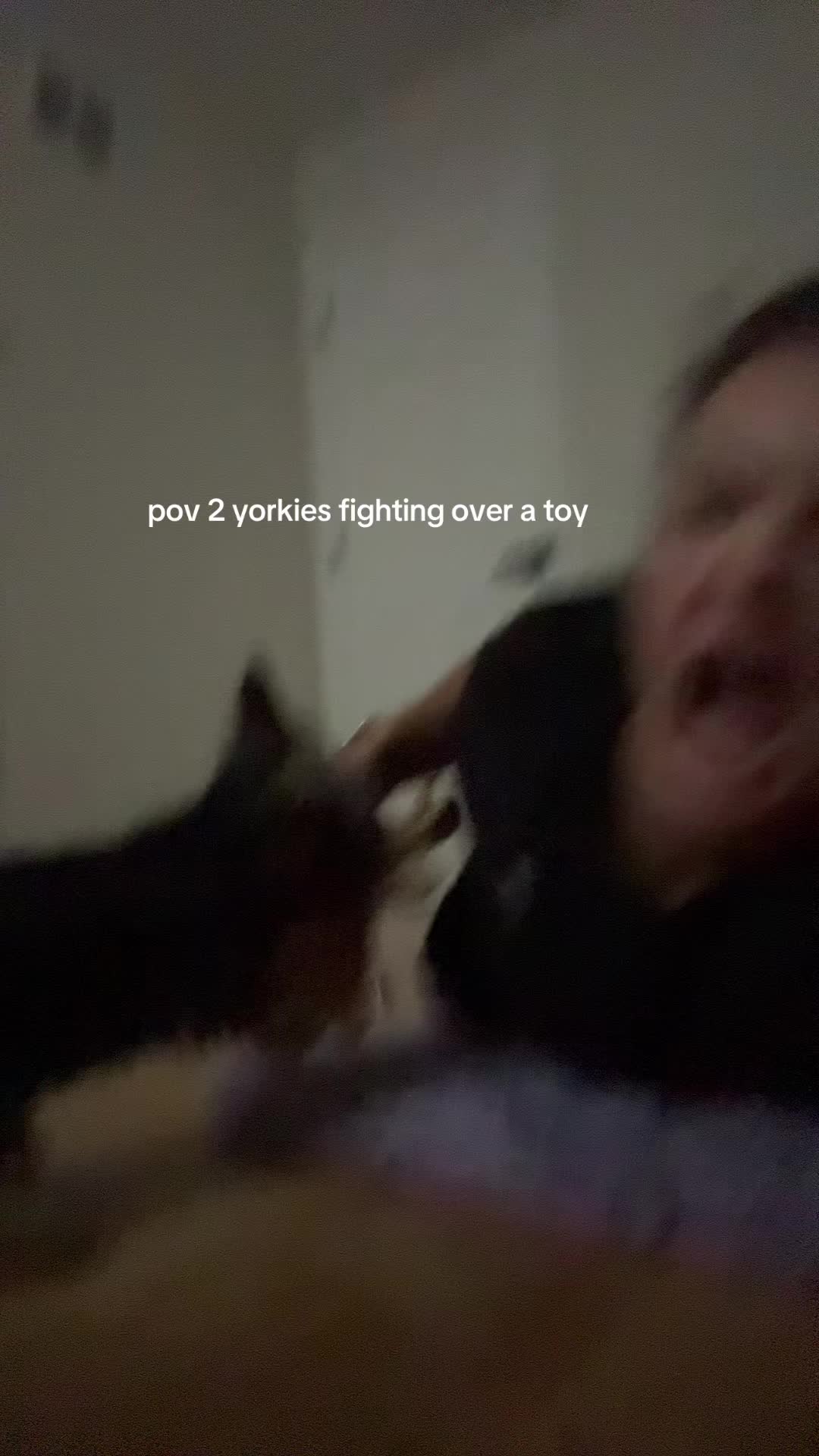 @apeaceofschmidt