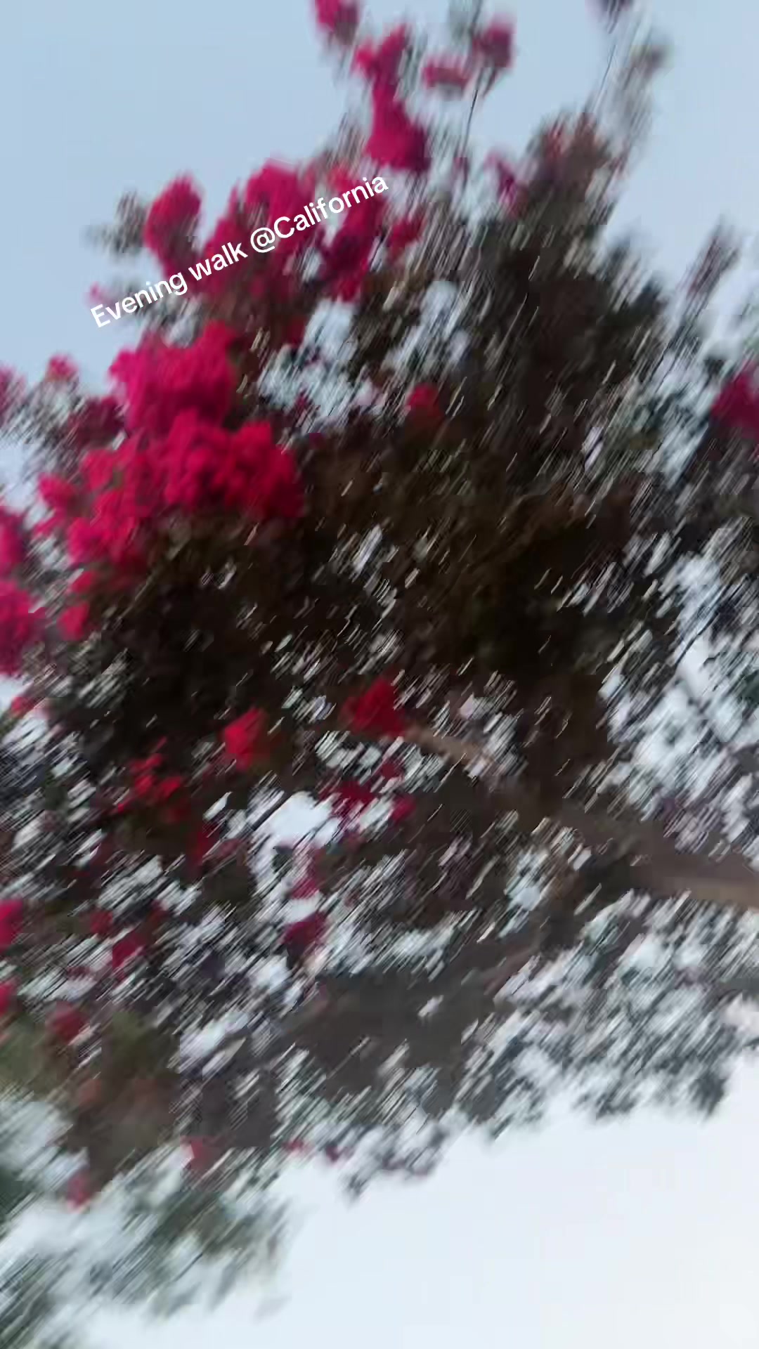 @sangitadc333