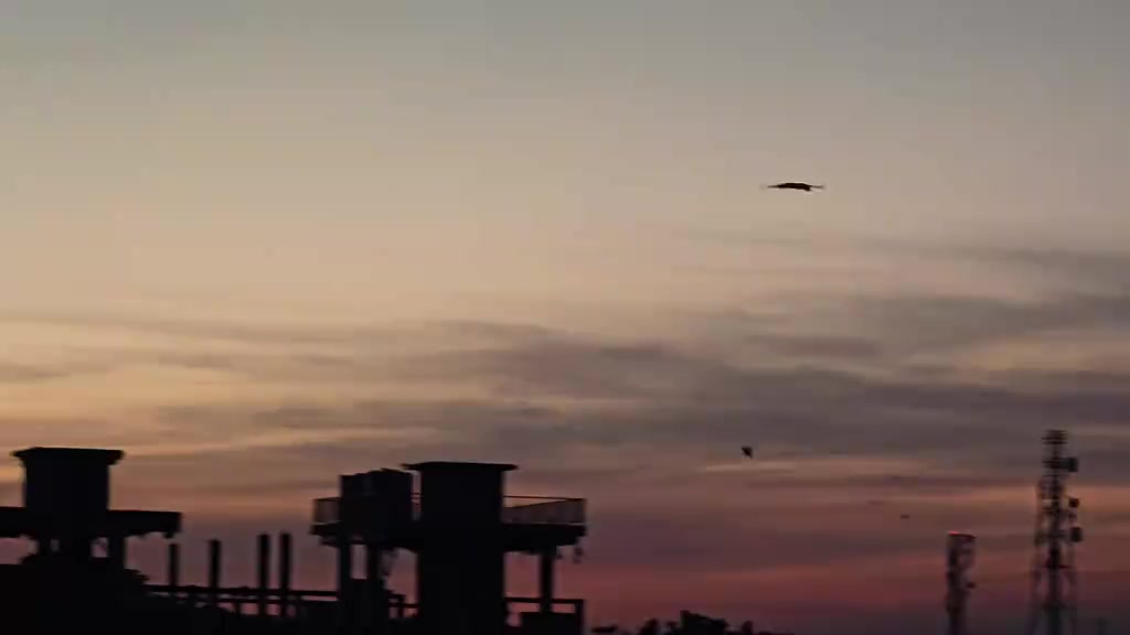 @⎯͢⎯⃝❥𝐍𝐨𝐨𝐫ᥫ᭡𝐀𝐩𝐔⃟⎯͢࿐