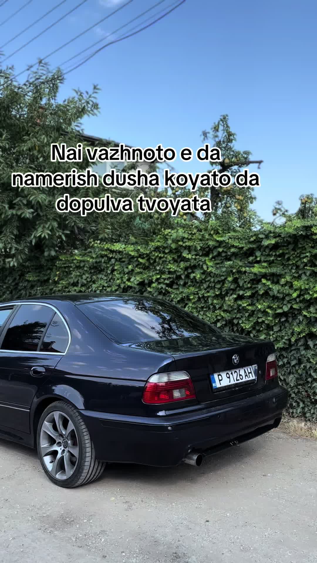 @n.mollov.e39