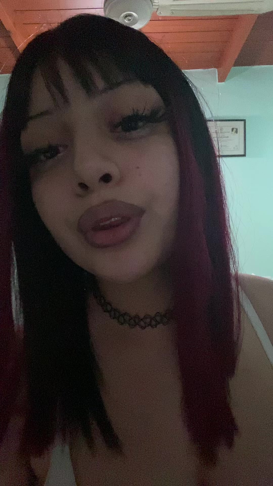 @vampiturra