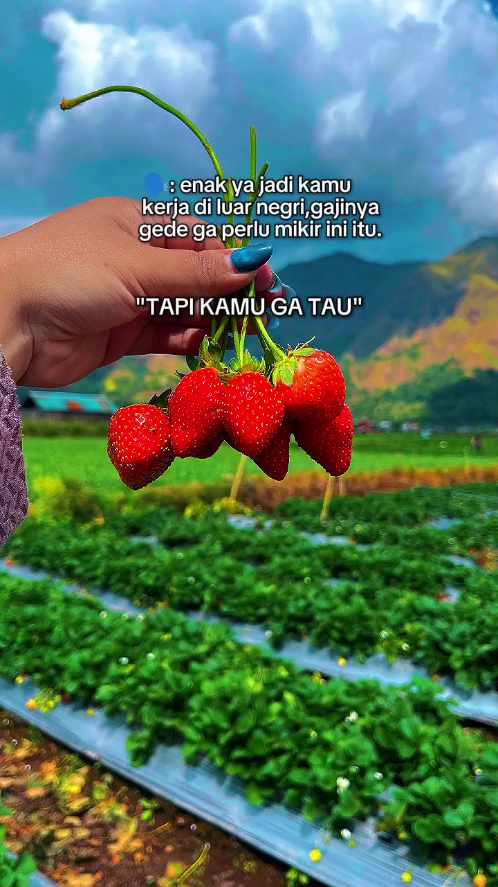 @Nana sty taipe 🇹🇼🇮🇩