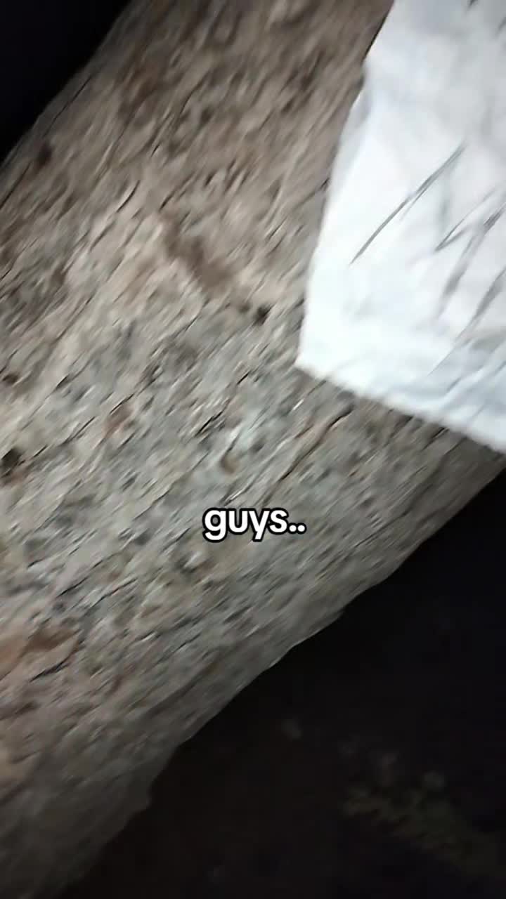 @🫐⋆˚iluvjackie˚⋆🫐