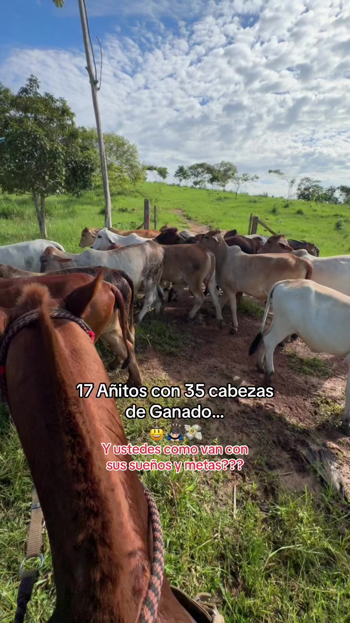 @Didier_🤠