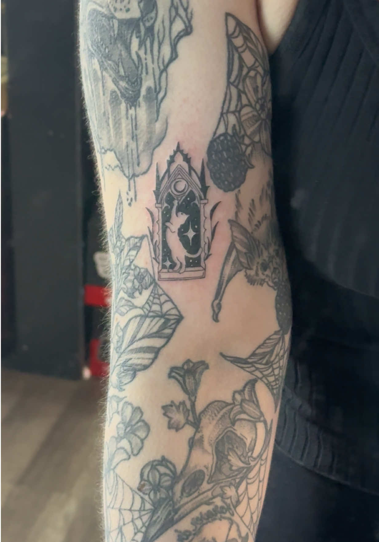 @𝔫𝔞𝔳𝔦 🖤🕸️