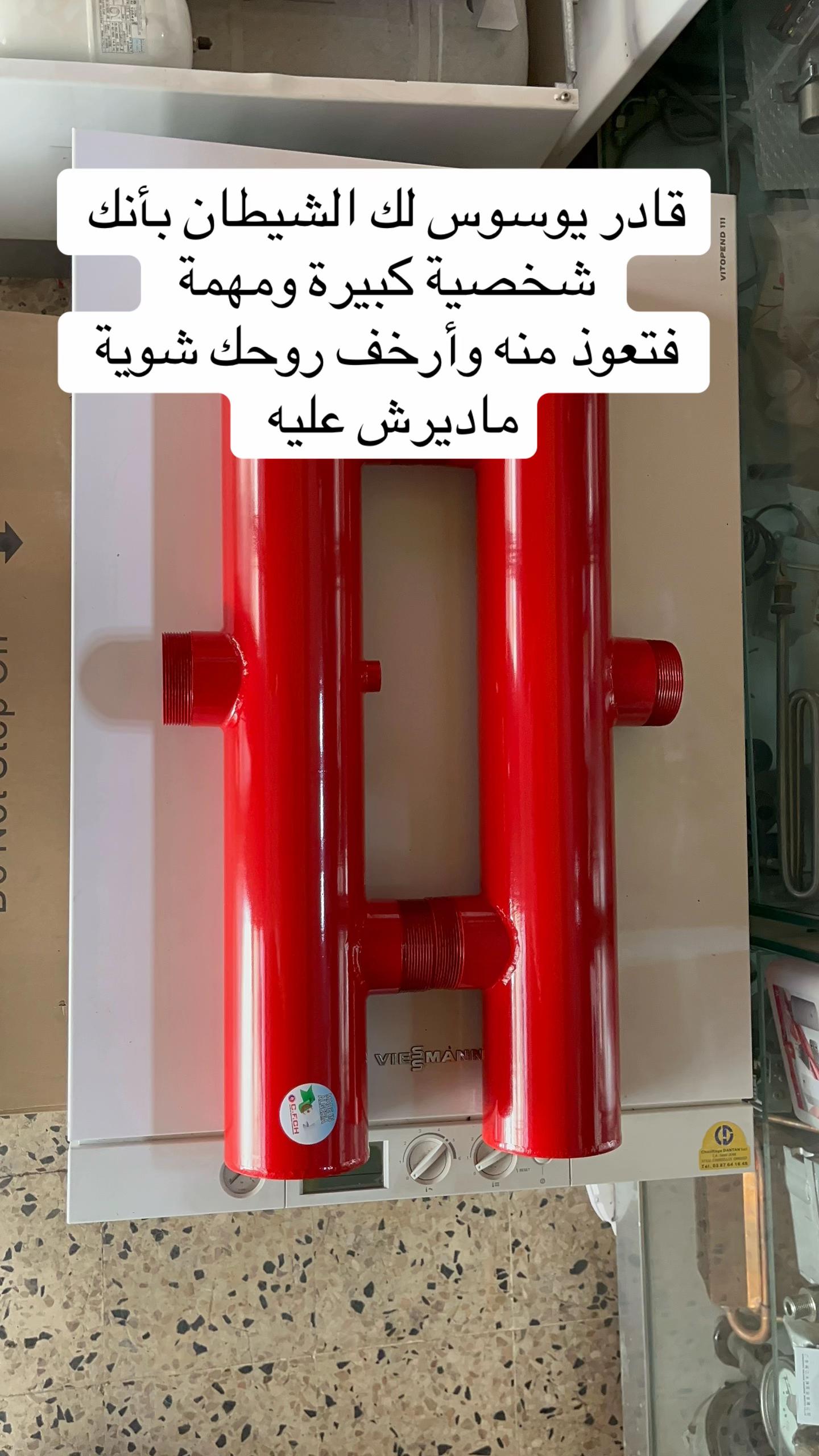 @Vaillant DZ