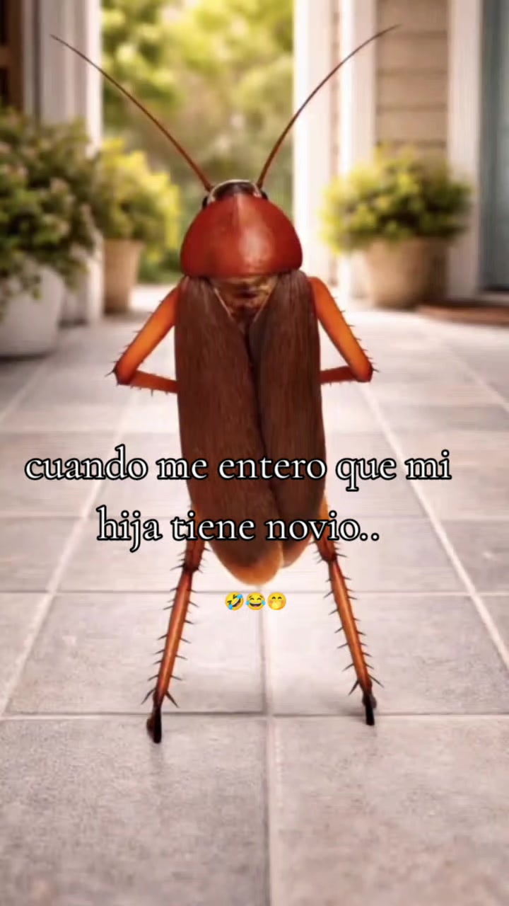 @Brissa Hern&aacute;ndez