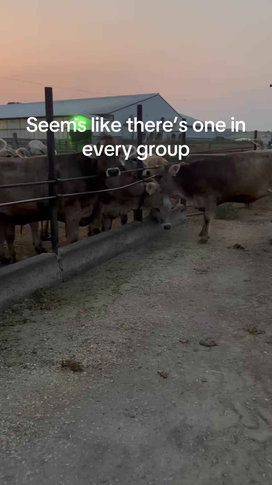 @sportsmansedgellc