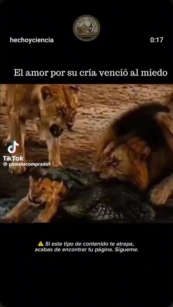 @Jesus Baez