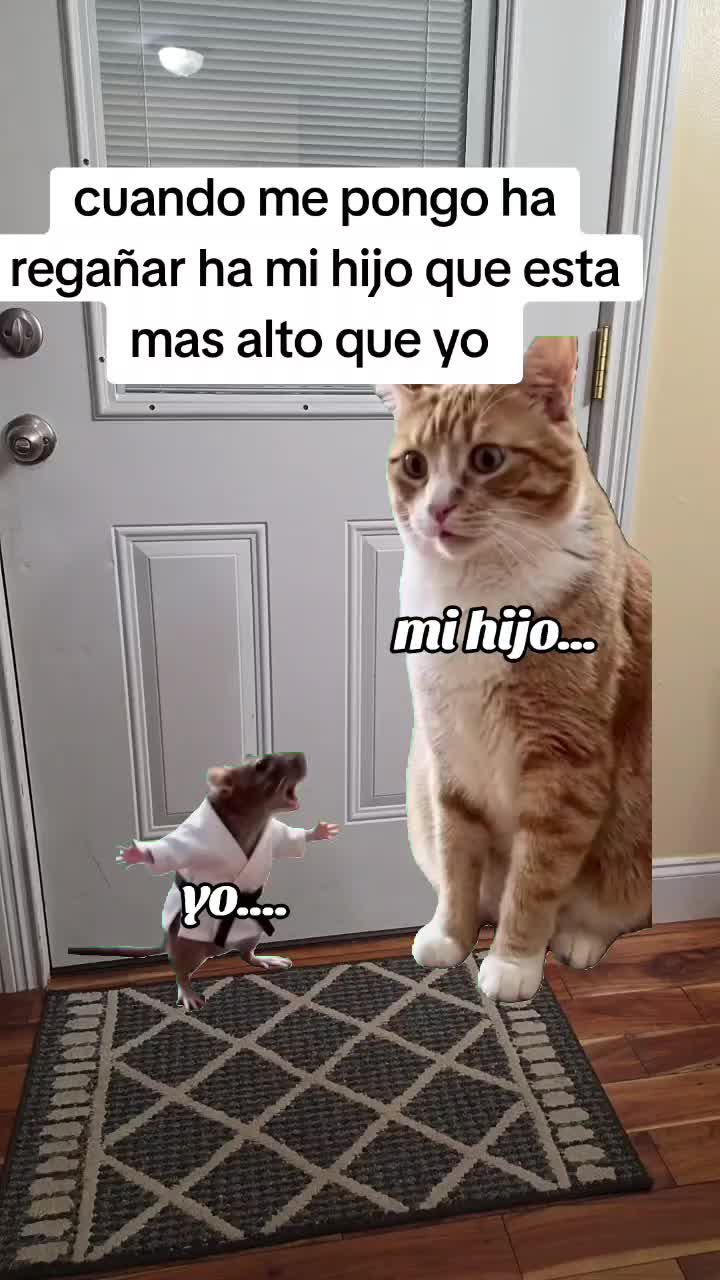 @Isabel Landa