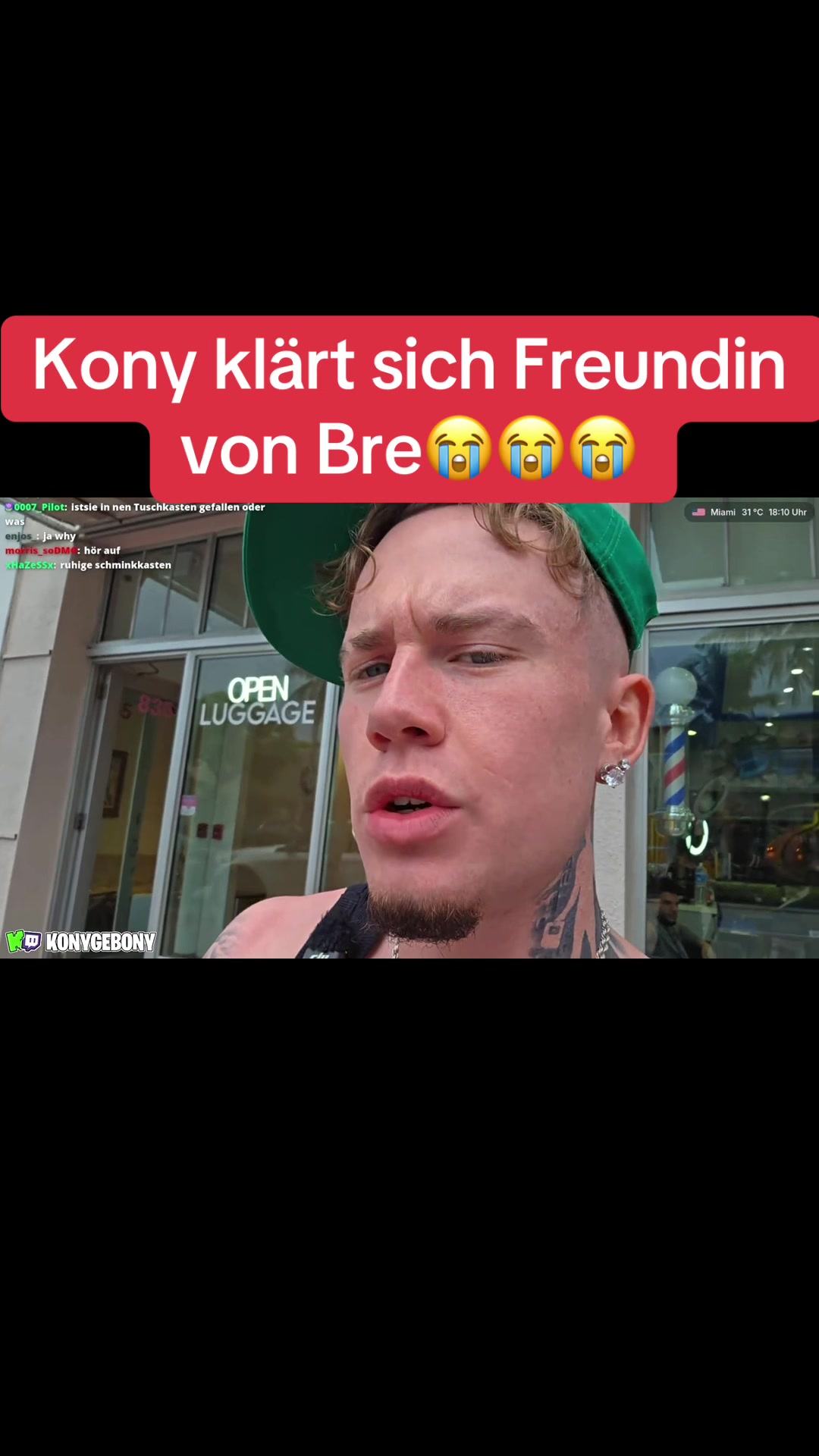 @🦈