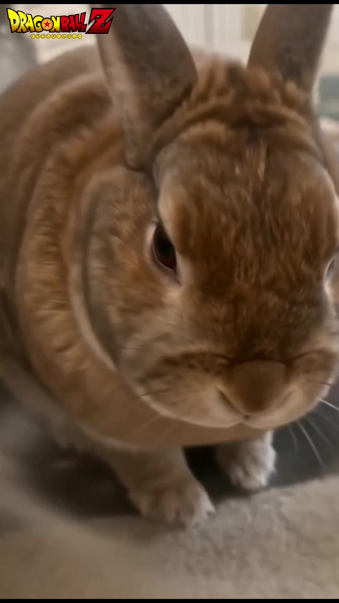@Wendigobunny