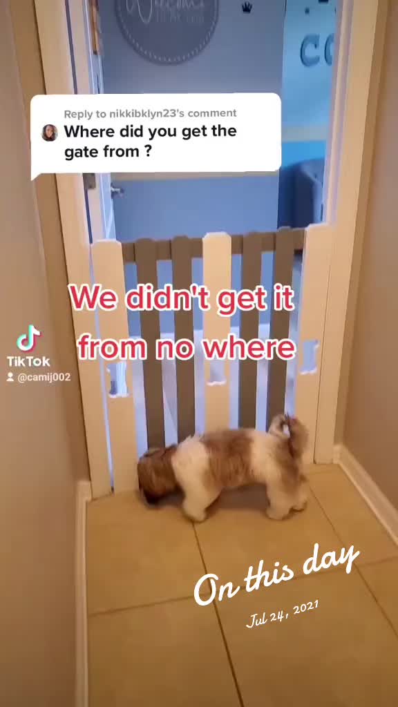 @Oreo & Cookie
