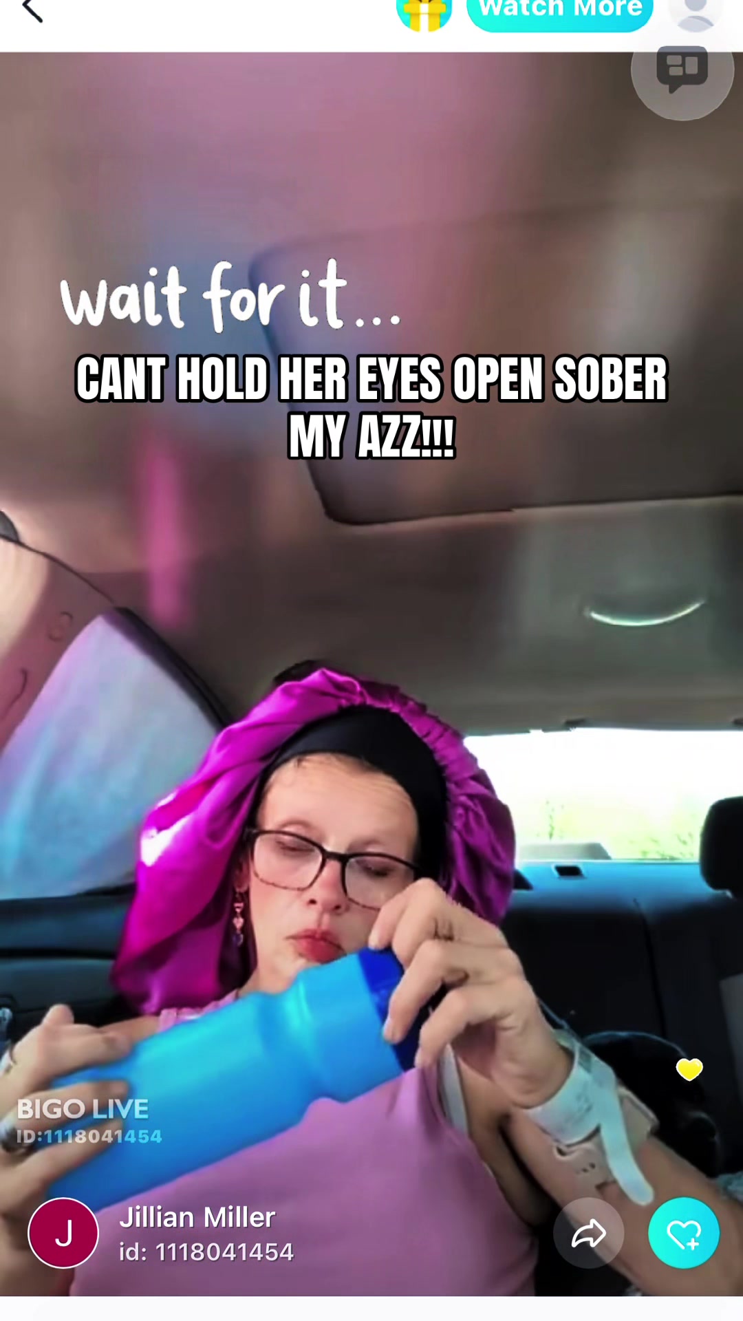 @MINI VILLI