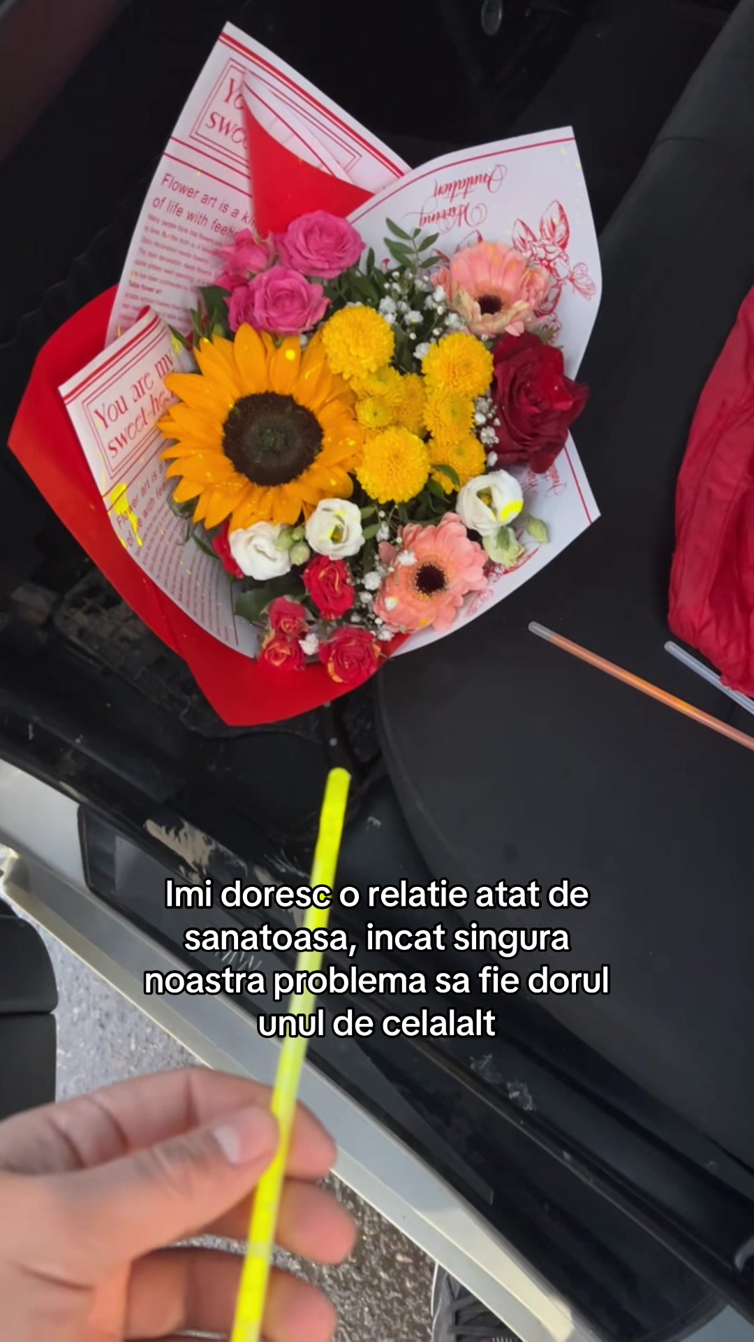 @nicu_augustin