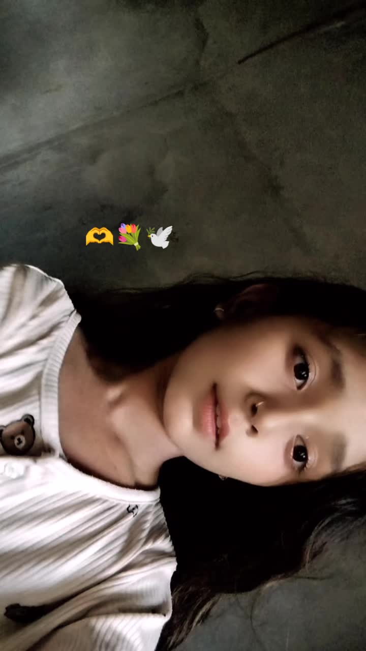 @❣️🕊️❣️