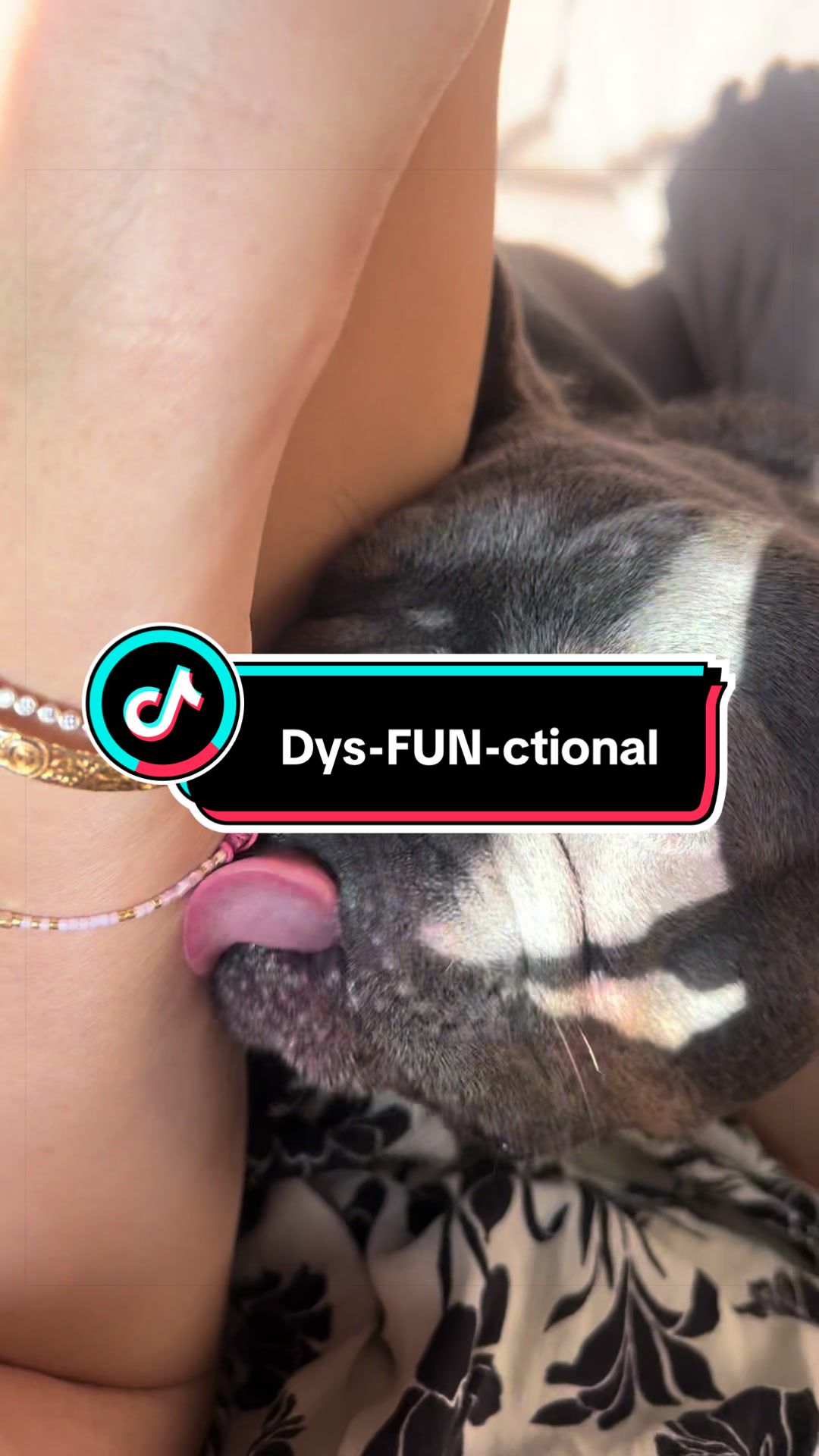 @Maki&ensp;the&ensp;Frenchie