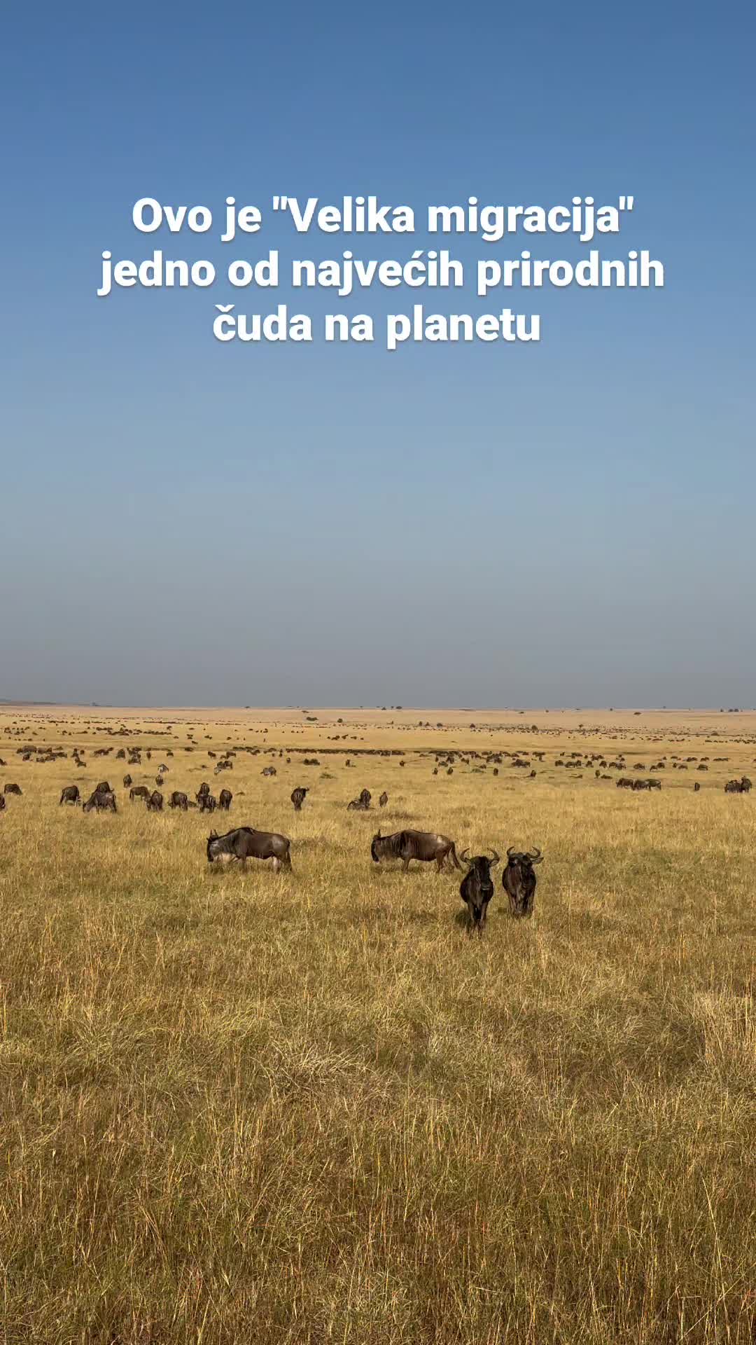 @Putoholicari