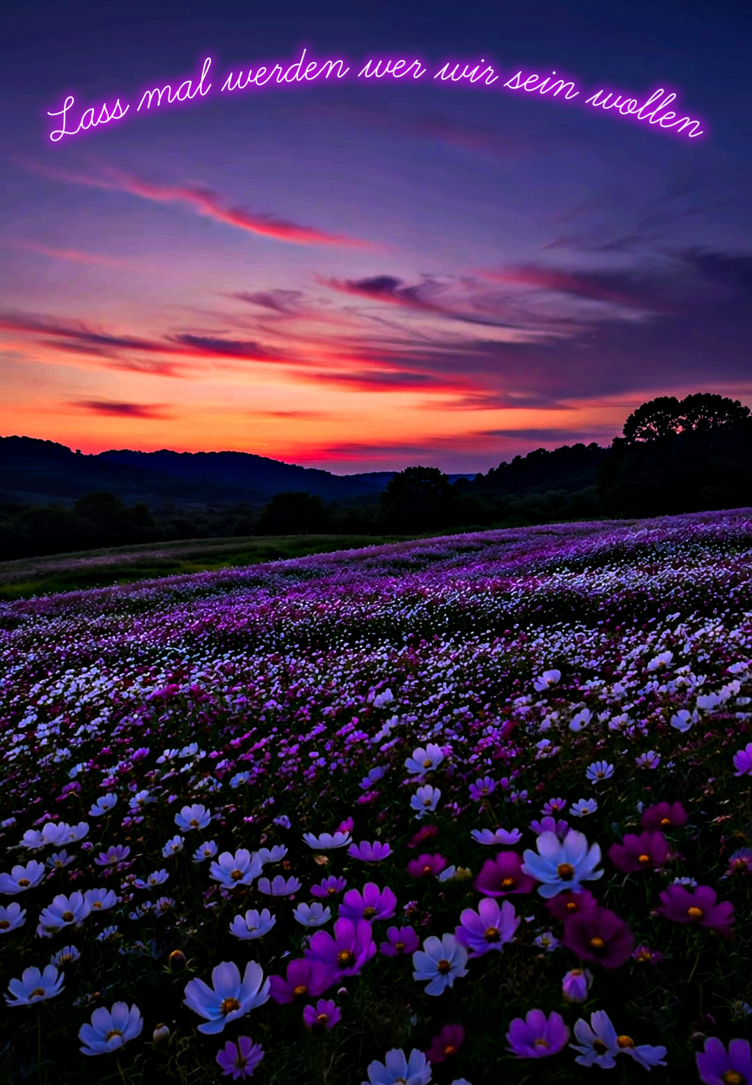@Rainbowshit13🌺